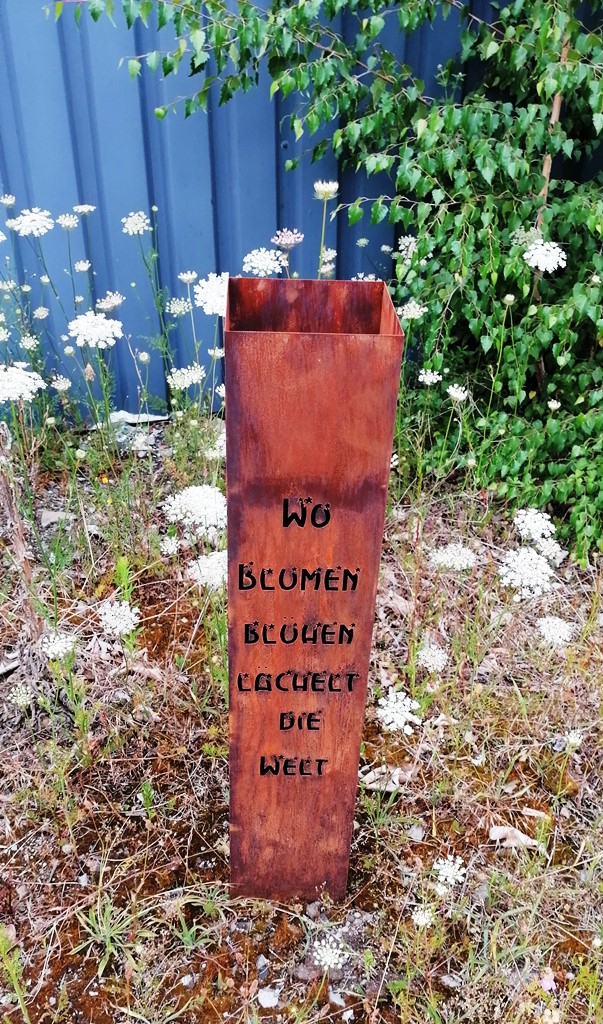 RS-Wo_Blumen_bluehen_5